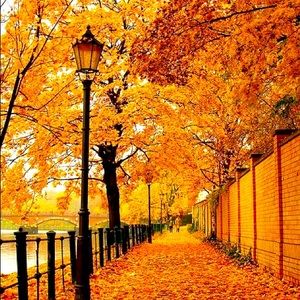 Trade for Mayra 🍁